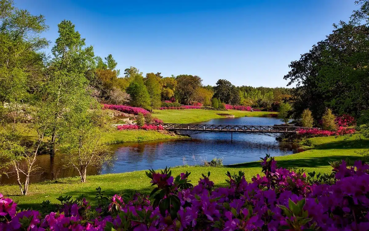 Tendances incontournables en aménagement paysager pour un jardin irrésistiblement attrayant