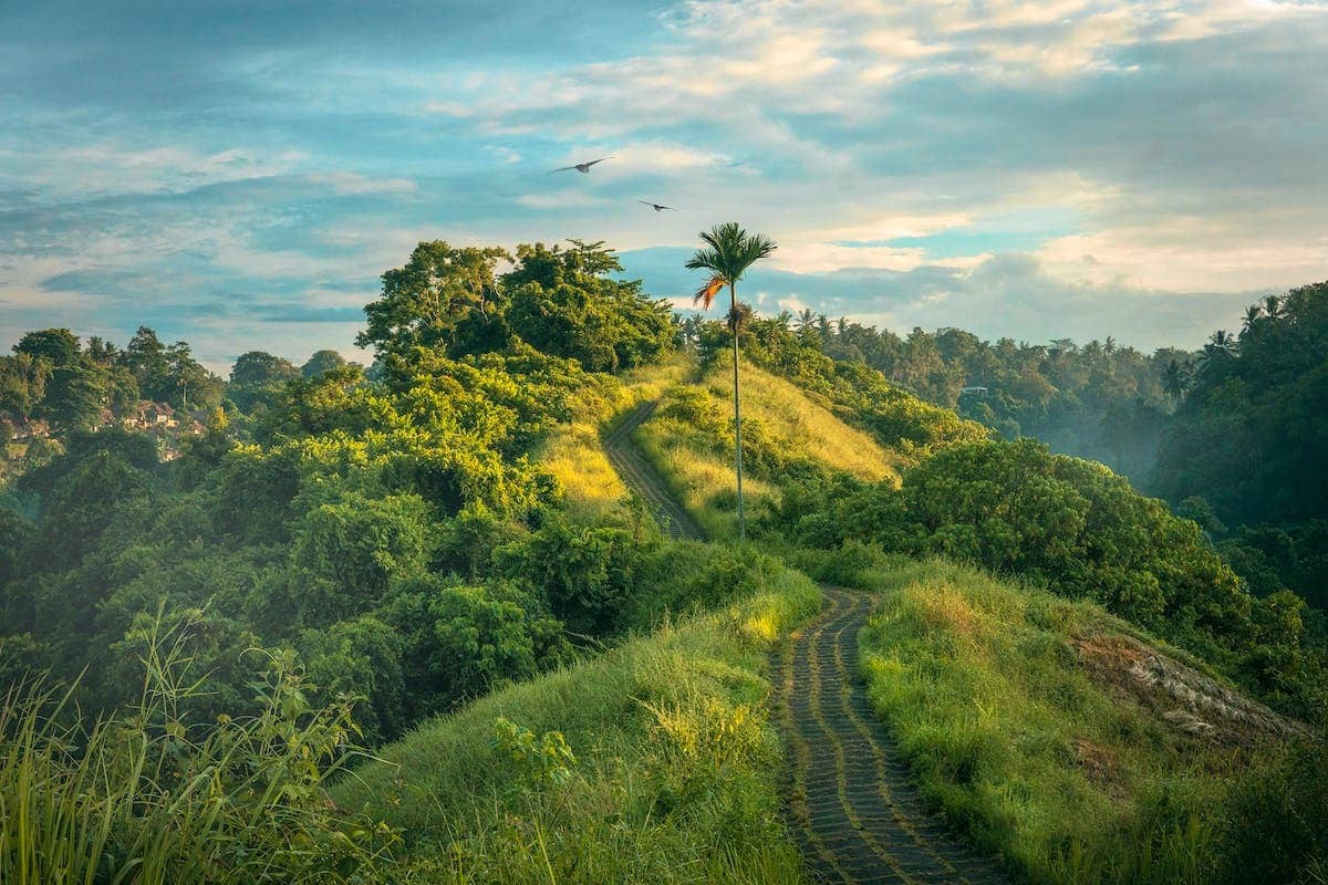 destination nature
