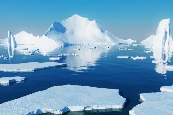 Tout savoir sur les voyage en Antarctique